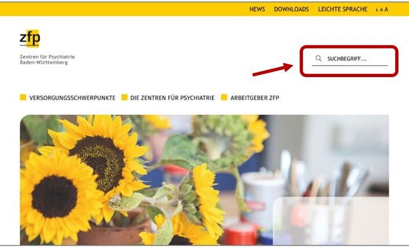 Bildschirm-Foto von der Startseite. Die Suche ist mit einem Kasten markiert. Ein Pfeil zeigt darauf.