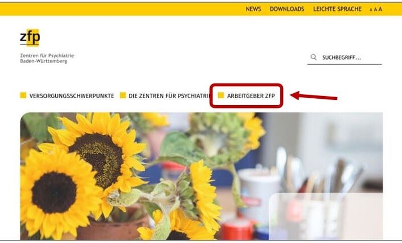 Bildschirm-Foto von der Startseite. Der Bereich Arbeitgeber ZfP ist mit einem Kasten markiert. Ein Pfeil zeigt darauf.