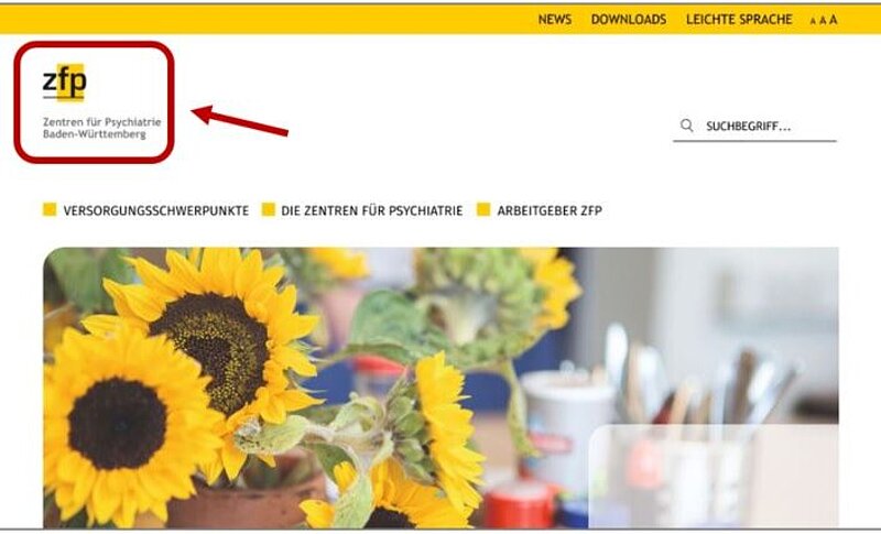 Bildschirm-Foto von der Startseite. Das Logo ist mit einem Kasten markiert. Ein Pfeil zeigt darauf.