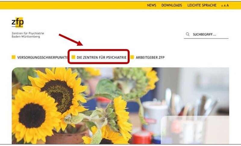 Bildschirm-Foto von der Startseite. Der Bereich Die Zentren für Psychiatrie ist mit einem Kasten markiert. Ein Pfeil zeigt darauf.