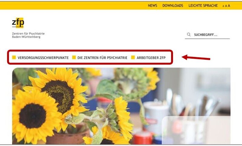 Bildschirm-Foto von der Startseite. Die Haupt-Bereiche sind mit einem Kasten markiert. Ein Pfeil zeigt darauf.