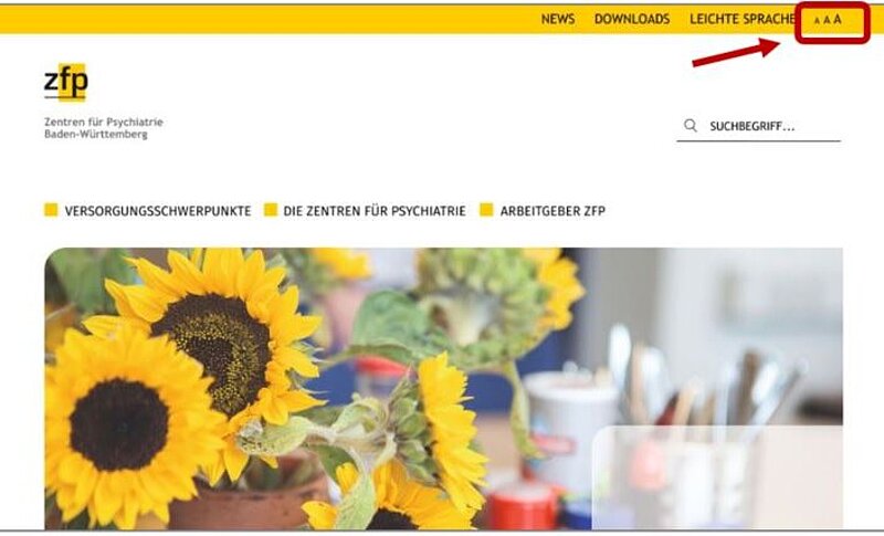 Bildschirm-Foto von der Startseite. Das Zeichen für die Schriftgröße ist mit einem Kasten markiert. Ein Pfeil zeigt darauf.
