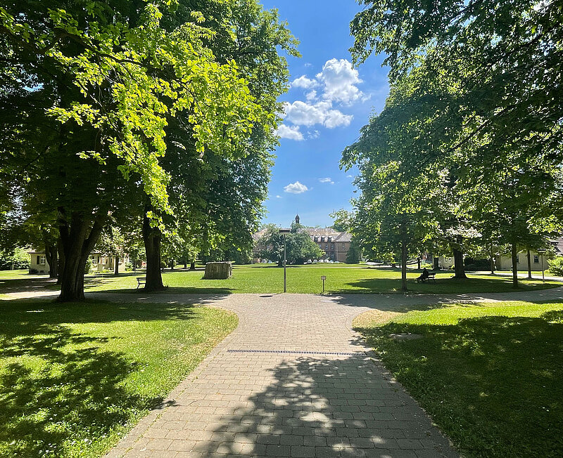 Das ist die Parkanlage des Klinikum am Weissenhof. Es ist strahlend blauer Himmel mit wenigen Wolken. Der Park ist schön bewachsen mit großen Bäumen.