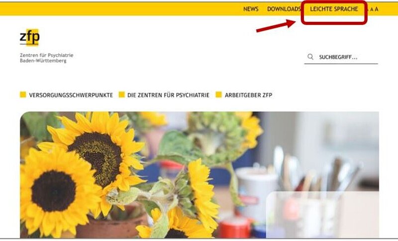 Bildschirm-Foto von der Startseite. Der Bereich Leichte Sprache ist mit einem Kasten markiert. Ein Pfeil zeigt darauf. 
