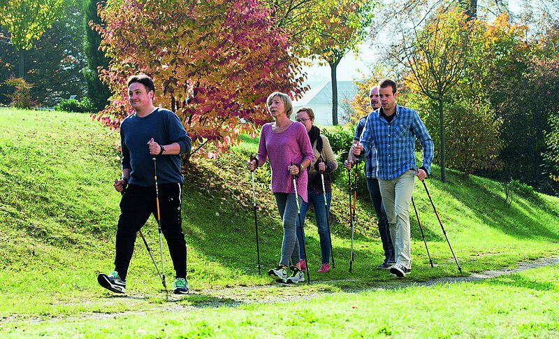 Drei Männer und zwei Frauen sind mit Walkingstöcken draußen im Grünen unterwegs.